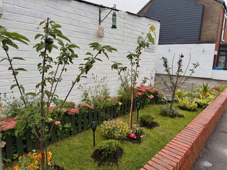 The community garden on Melbourne Street.